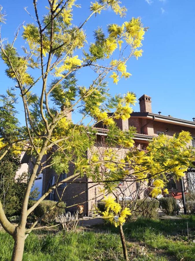 بينتيفوليو B&B Casa Dei Camini المظهر الخارجي الصورة